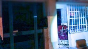 policia palma robo es vivero