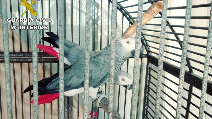 loro