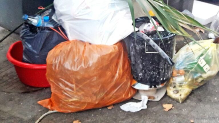 basura palma