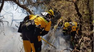 ibanat incendio es trenc