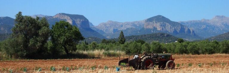 agricultura ecologica
