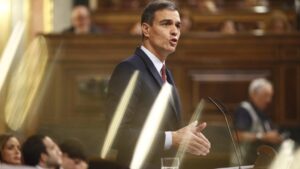 Pedro S&aacute;nchez