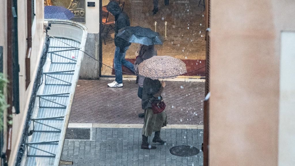 lluvia palma