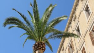 sol buen tiempo despejado cielo