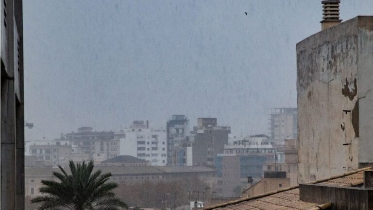 lluvia palma