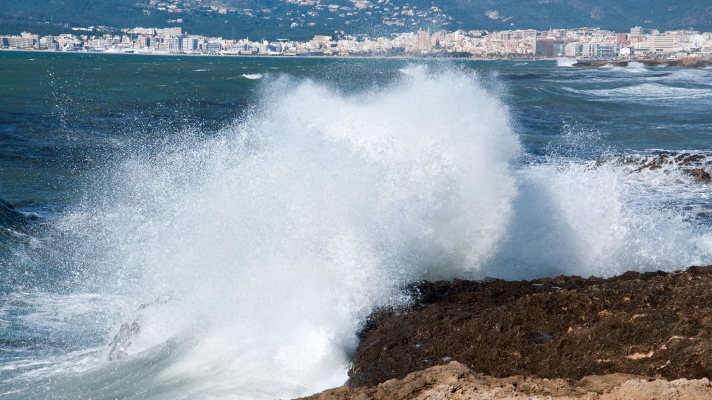 temporal mar