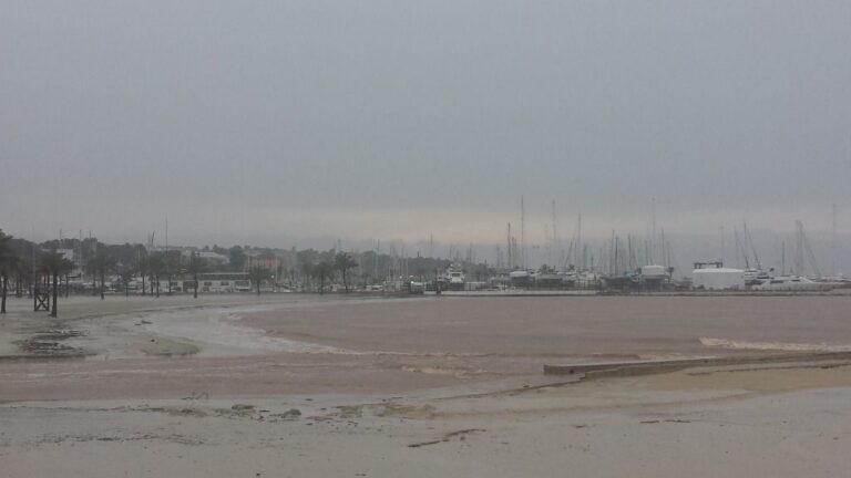 temporal lluvia