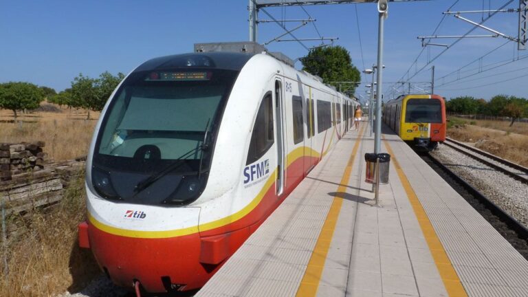 Tren SFM