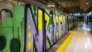 incendio intermodal palma