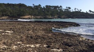 Temporal Gloria Santany&iacute;