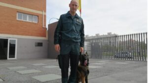 guias-caninos-guardia-civil