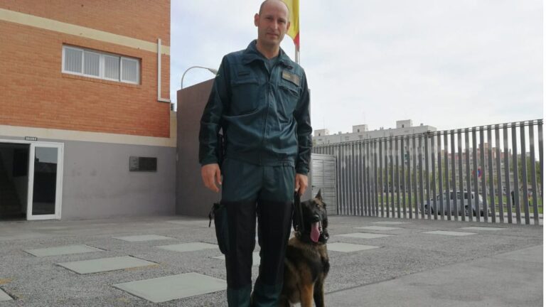 guias-caninos-guardia-civil