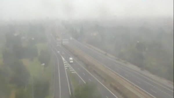 niebla