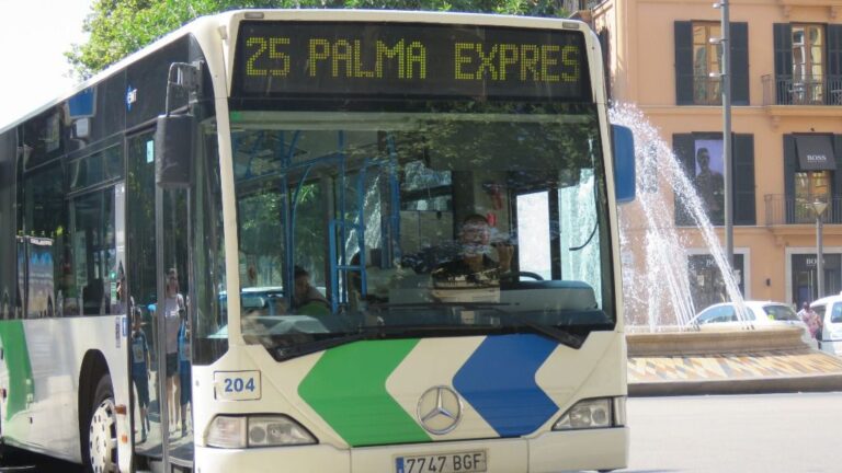 bus emt palma linea 25