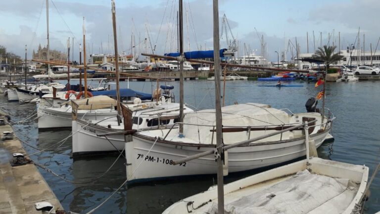 barcos