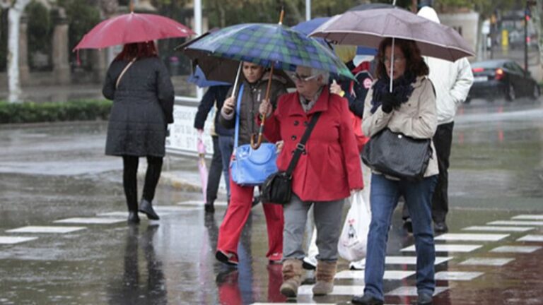 Frio y lluvia Palma