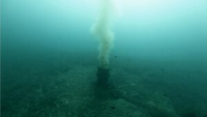 Posidonia, emisaris y fondeos