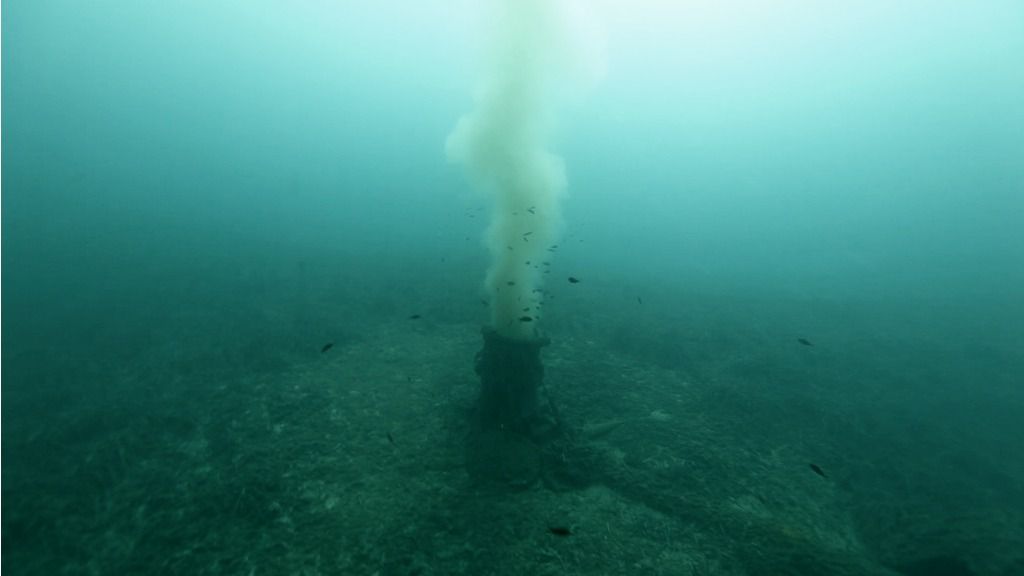 Posidonia, emisaris y fondeos