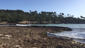 Temporal Gloria Santany&iacute;