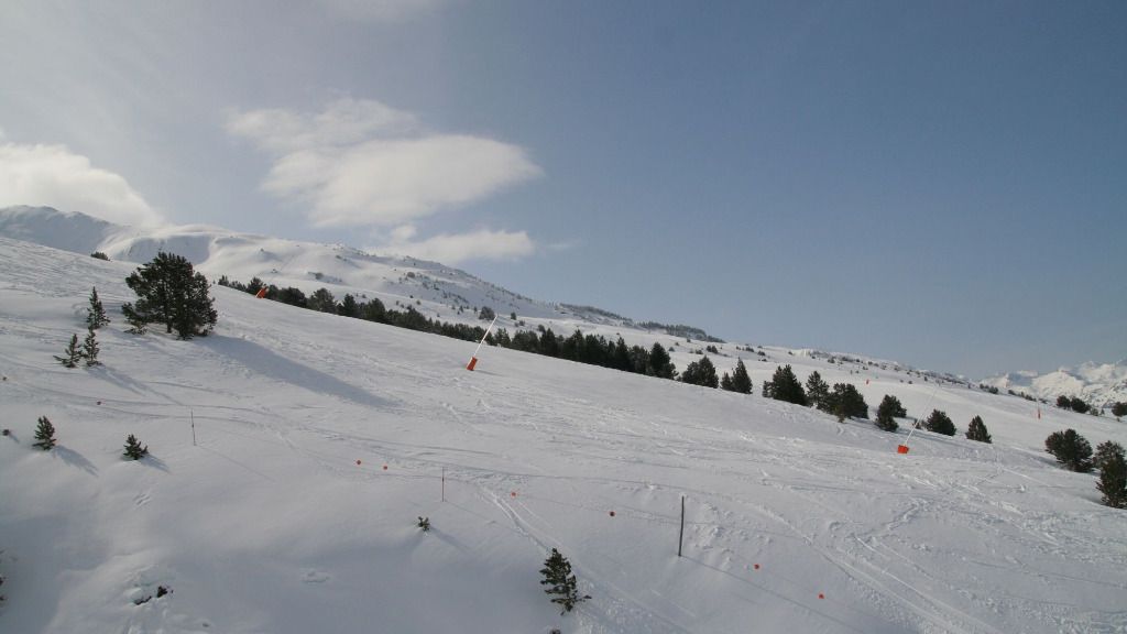nieve