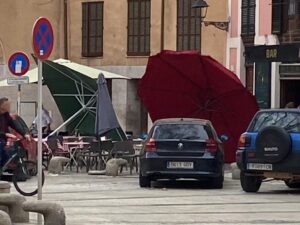 terrazas palma viento
