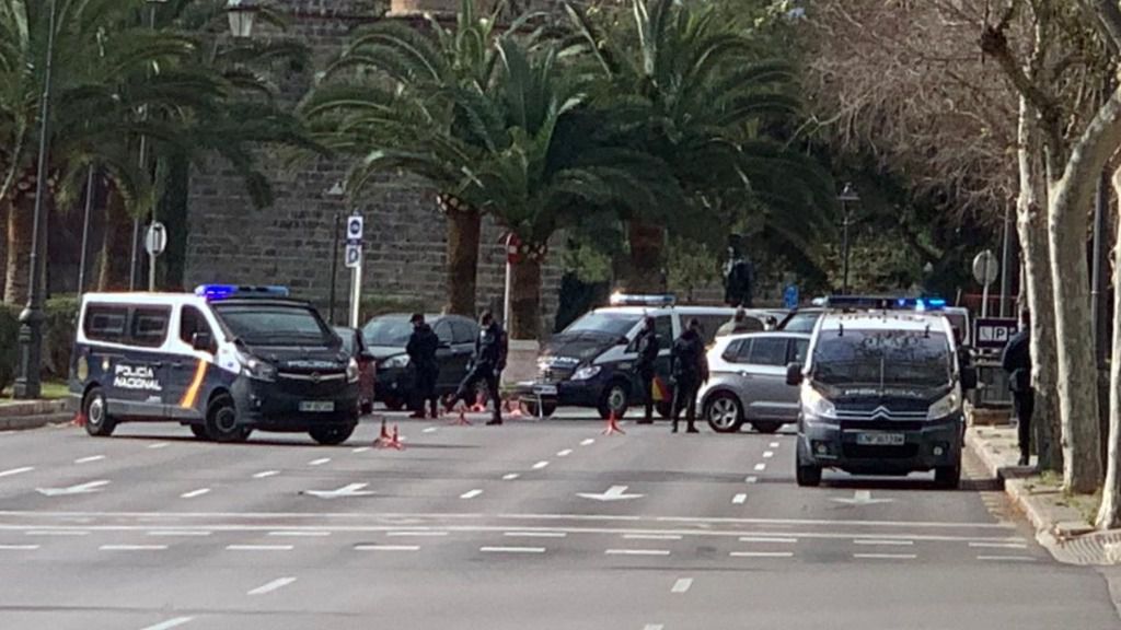 controles palma coronavirus