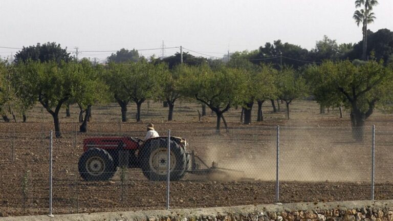 agricultura
