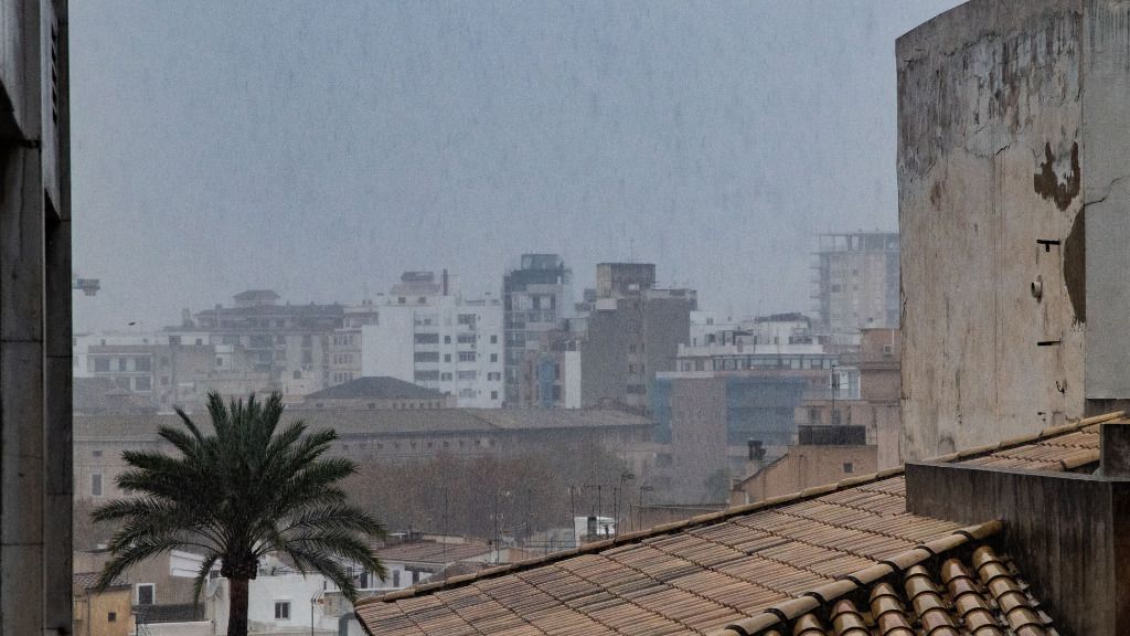 lluvia palma