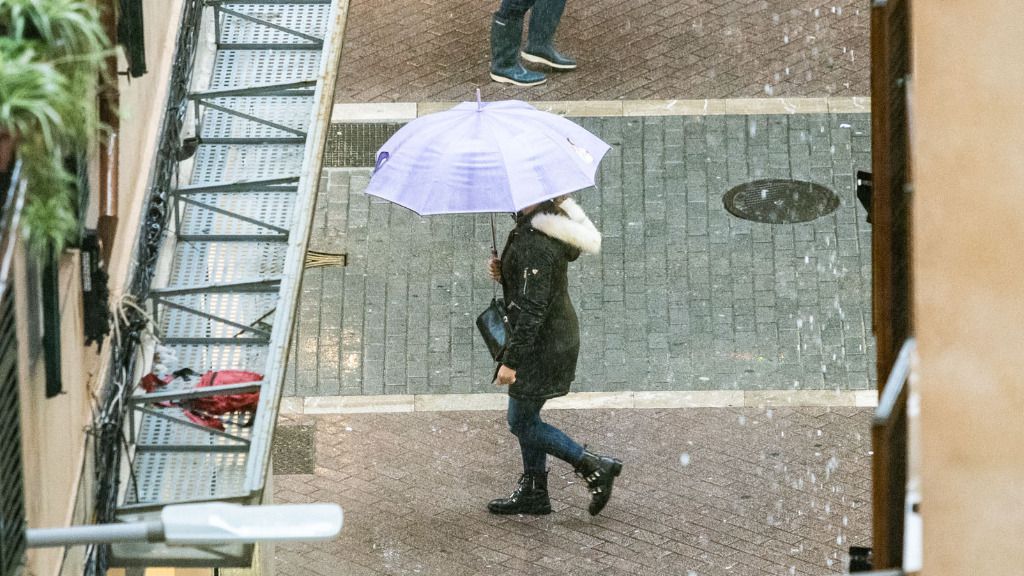 lluvia palma