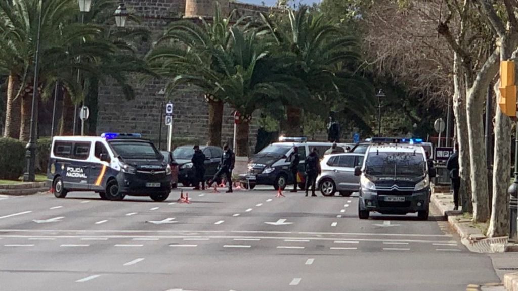 controles palma coronavirus