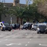 controles palma coronavirus