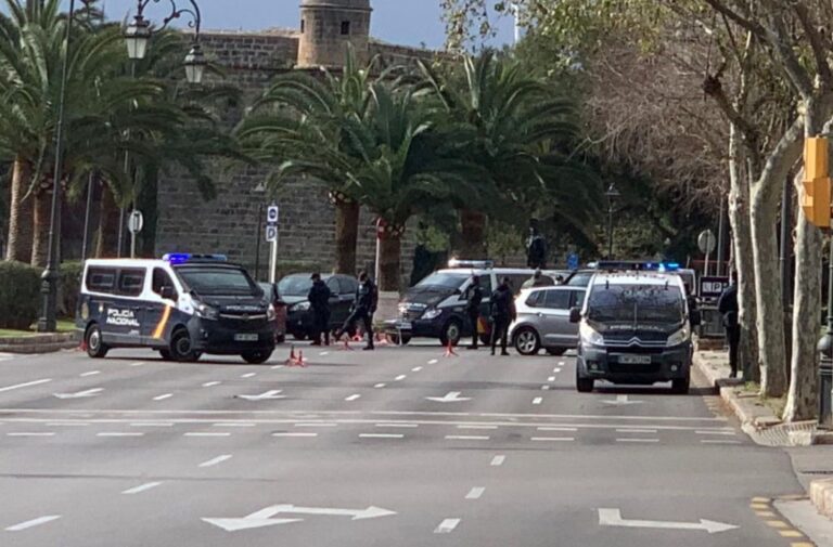controles palma coronavirus