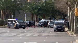 controles palma coronavirus