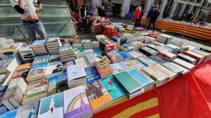 Sant Jordi libros
