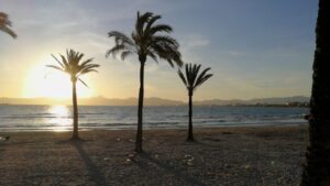 basura cristales alcohol playa turismo borrachera