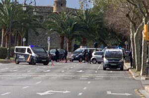 controles palma coronavirus