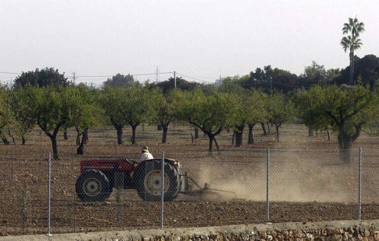 agricultura