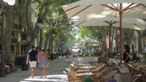 terrazas turismo palma hosteler&iacute;a restauraci&oacute;n centro palma