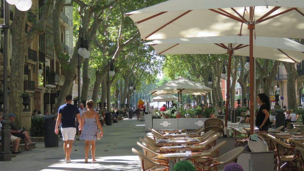 terrazas turismo palma hostelería restauración centro palma
