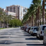coronavirus-palma-vacia