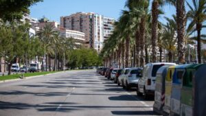 coronavirus-palma-vacia