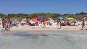 playa es trenc turistas turismo