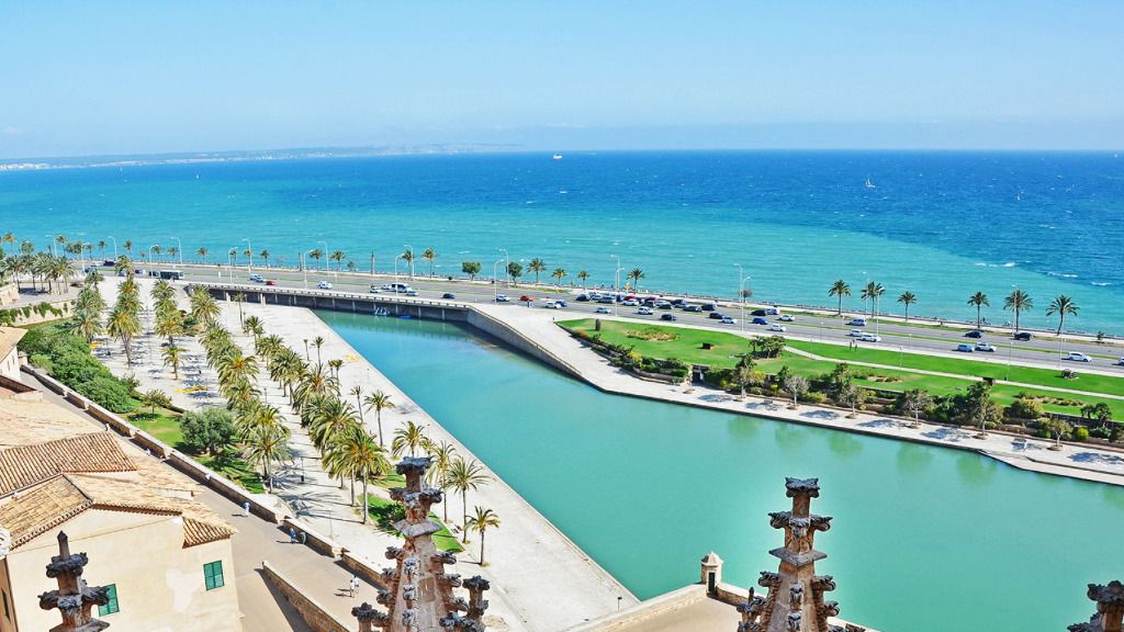 Palma tiempo