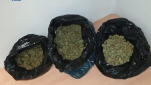 marihuana polic&iacute;a