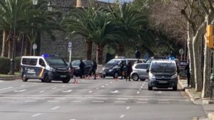 controles palma coronavirus