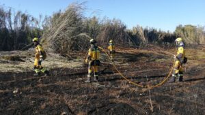 incendio selva ibanat bombers mallorca