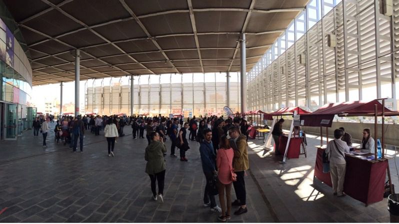 feria empleo palma