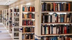biblioteca marratxi