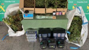 Guardia Civil llubi marihuana