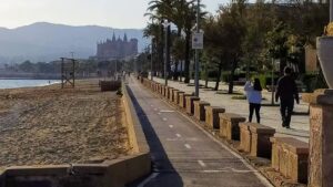 Imagen: Polic&iacute;a Local Palma